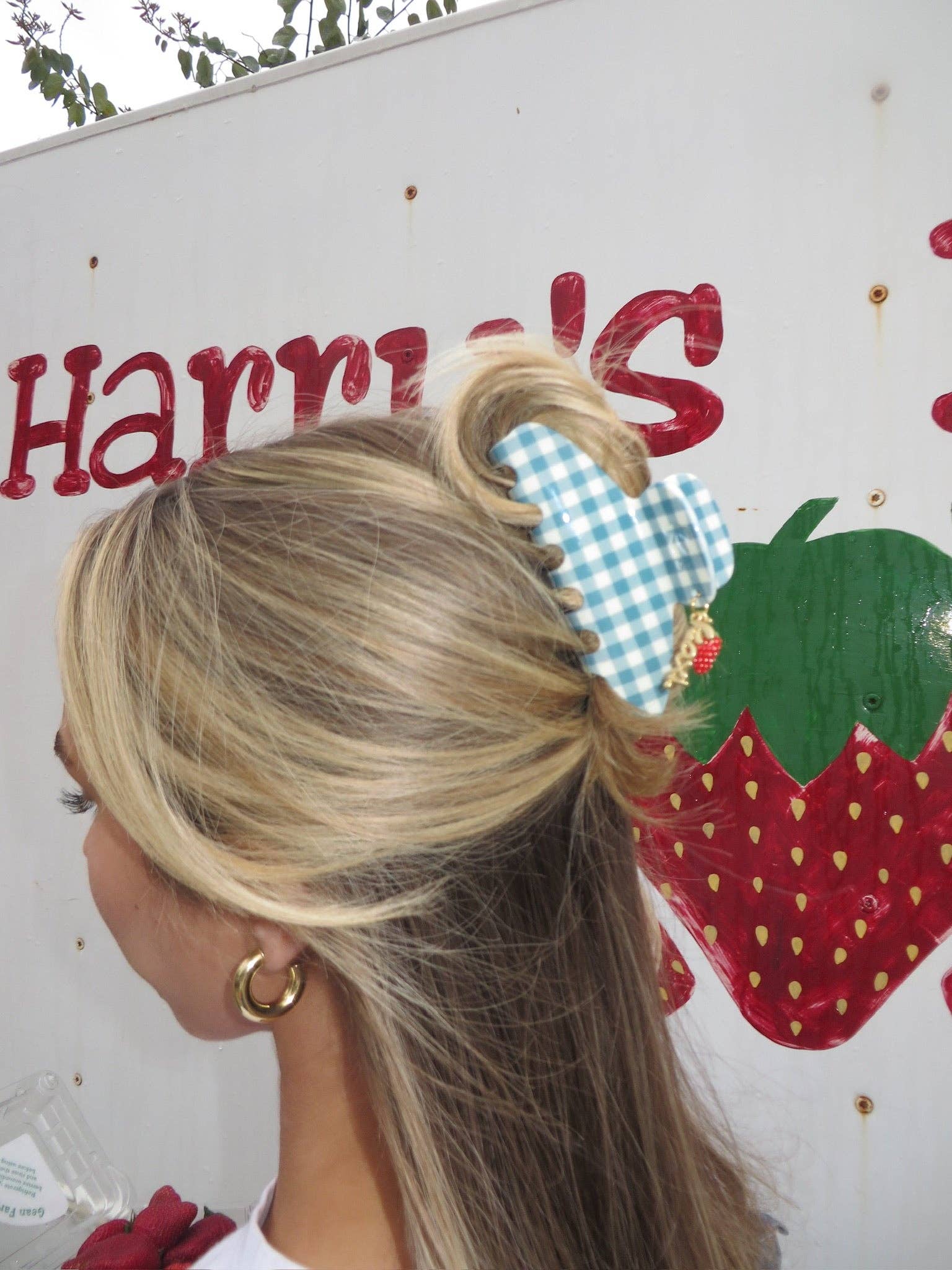 Strawberry Charm Blue Gingham Claw Clip